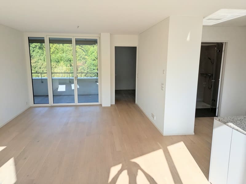 WG-Zimmer in moderner 3.5-Zimmer-Wohnung mit Sihlblick (3)