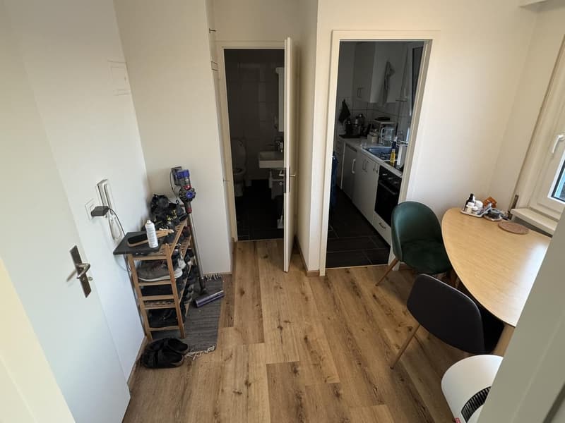 1.5-Room Og.5 Rooftop Apartment with Balcony in Basel (6)