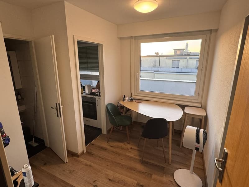 1.5-Room Og.5 Rooftop Apartment with Balcony in Basel (3)