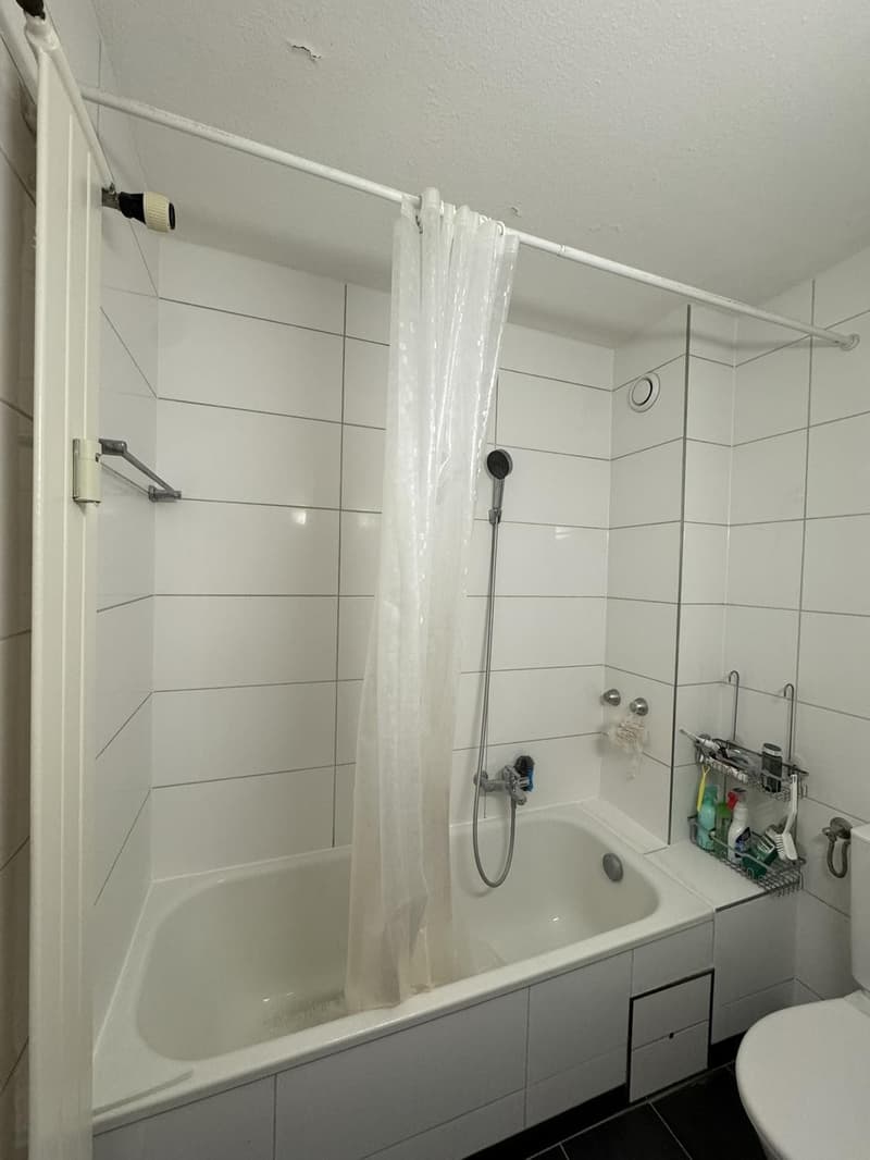 1.5-Room Og.5 Rooftop Apartment with Balcony in Basel (2)