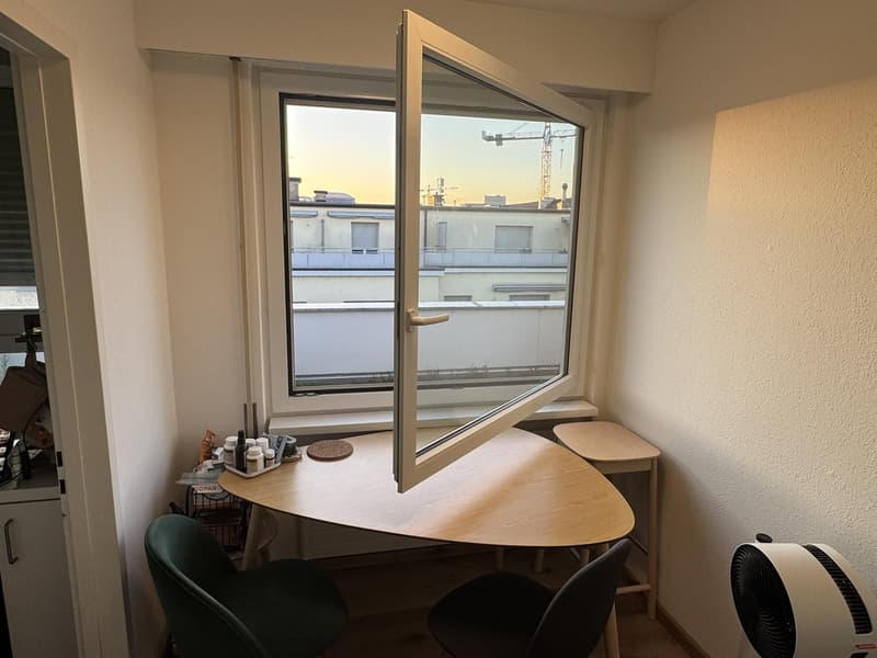 1.5-Room Og.5 Rooftop Apartment with Balcony in Basel (7)