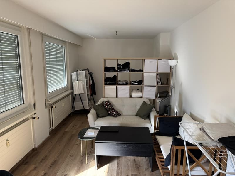 1.5-Room Og.5 Rooftop Apartment with Balcony in Basel (9)