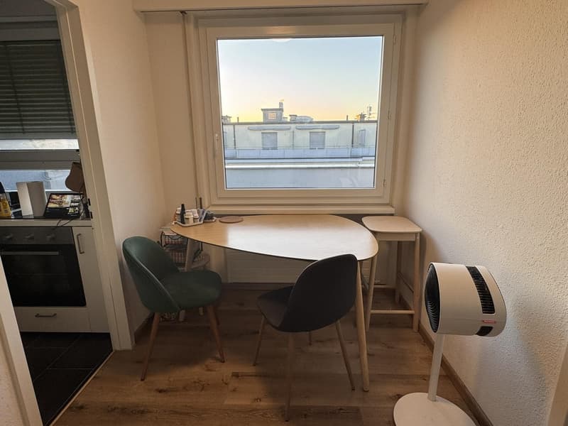 1.5-Room Og.5 Rooftop Apartment with Balcony in Basel (5)