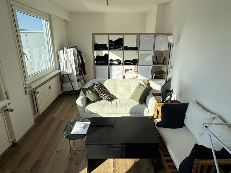 1.5-Room Og.5 Rooftop Apartment with Balcony in Basel (13)