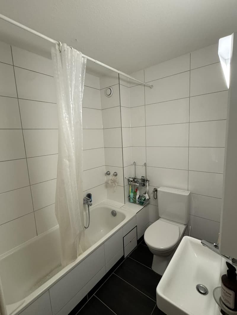 1.5-Room Og.5 Rooftop Apartment with Balcony in Basel (1)