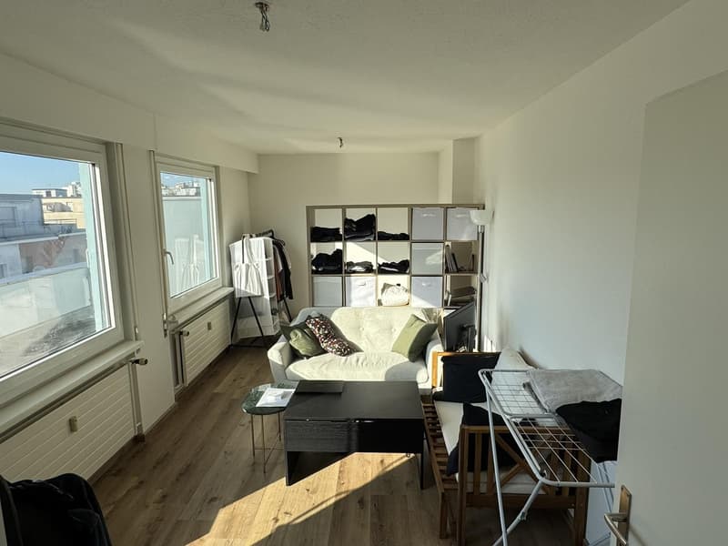 1.5-Room Og.5 Rooftop Apartment with Balcony in Basel (11)