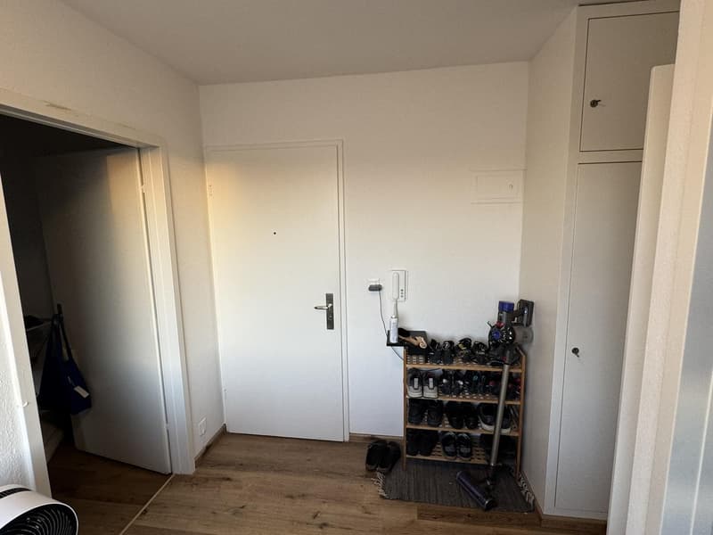 1.5-Room Og.5 Rooftop Apartment with Balcony in Basel (8)