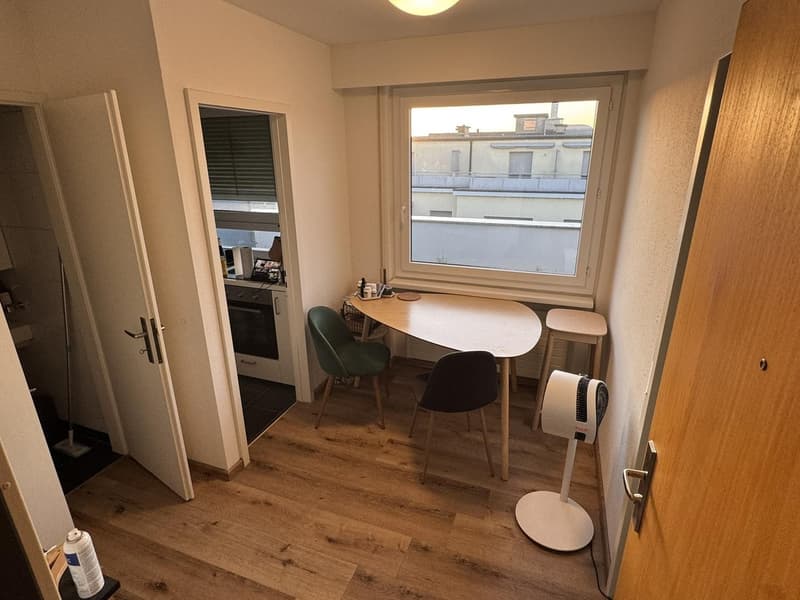 1.5-Room Og.5 Rooftop Apartment with Balcony in Basel (4)