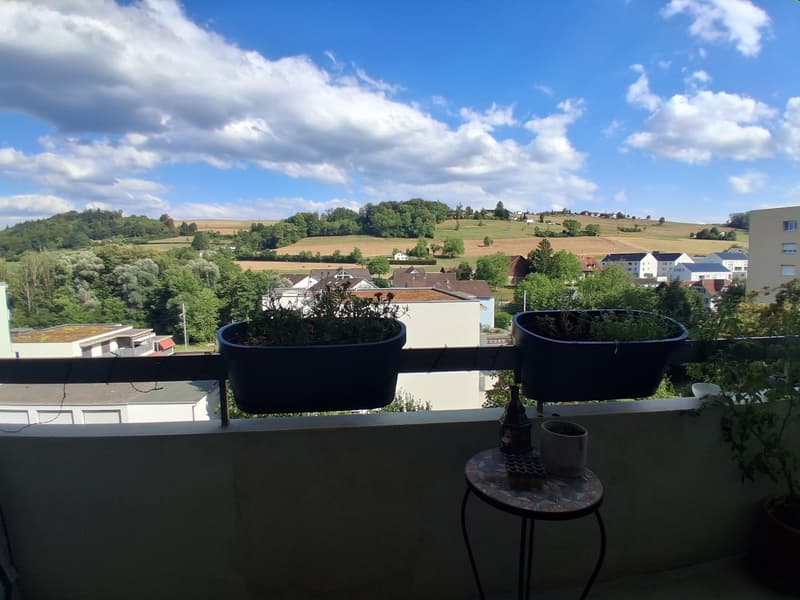 3.5 Room apartment in Rudolfstetten (3)