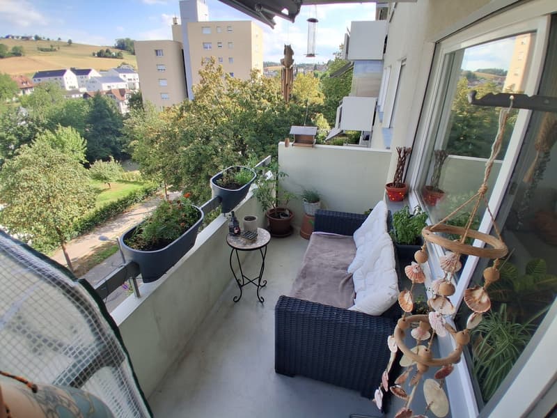 3.5 Room apartment in Rudolfstetten (4)