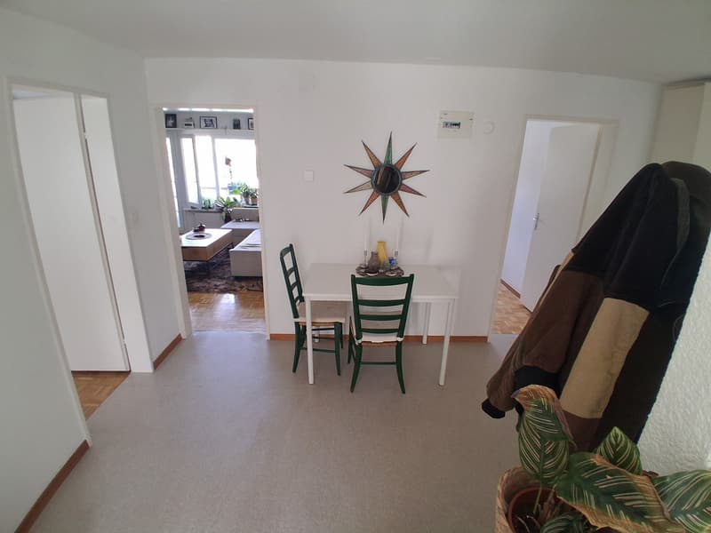 3.5 Room apartment in Rudolfstetten (8)