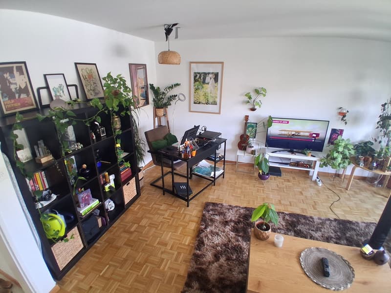 3.5 Room apartment in Rudolfstetten (2)