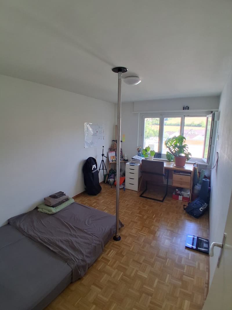 3.5 Room apartment in Rudolfstetten (6)