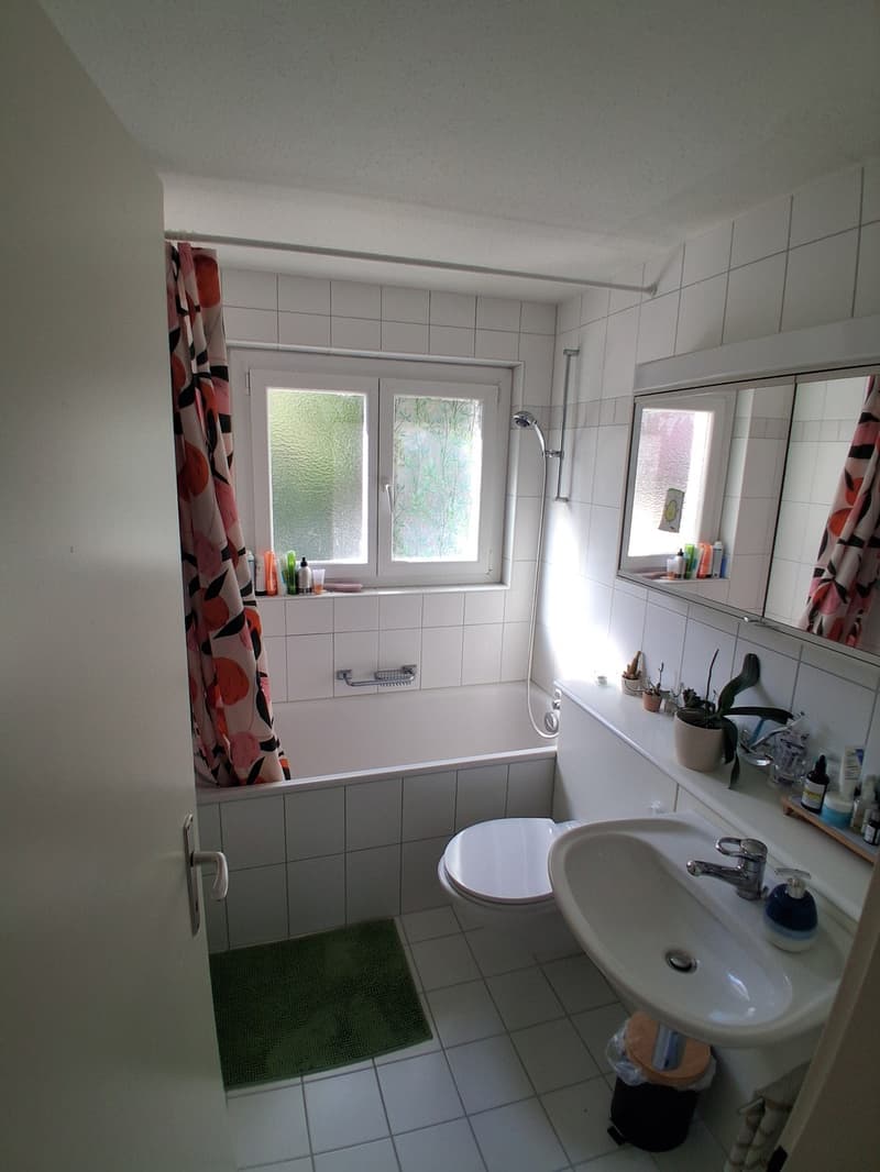 3.5 Room apartment in Rudolfstetten (9)