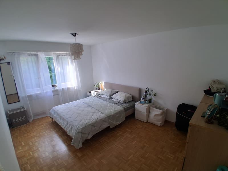 3.5 Room apartment in Rudolfstetten (5)
