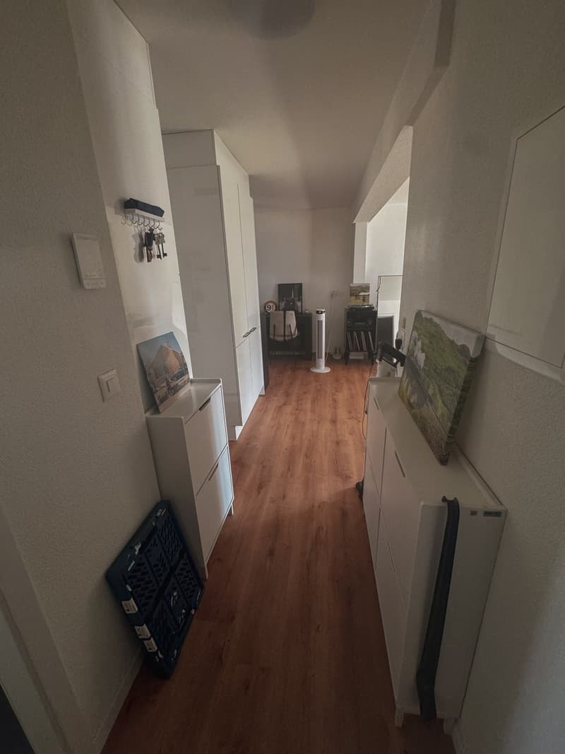 Moderne, lichtdurchflutete 2.5-Zimmer-Wohnung mit 15m² Balkon ruhig & direkt beim Bahnhof Möhlin (7)