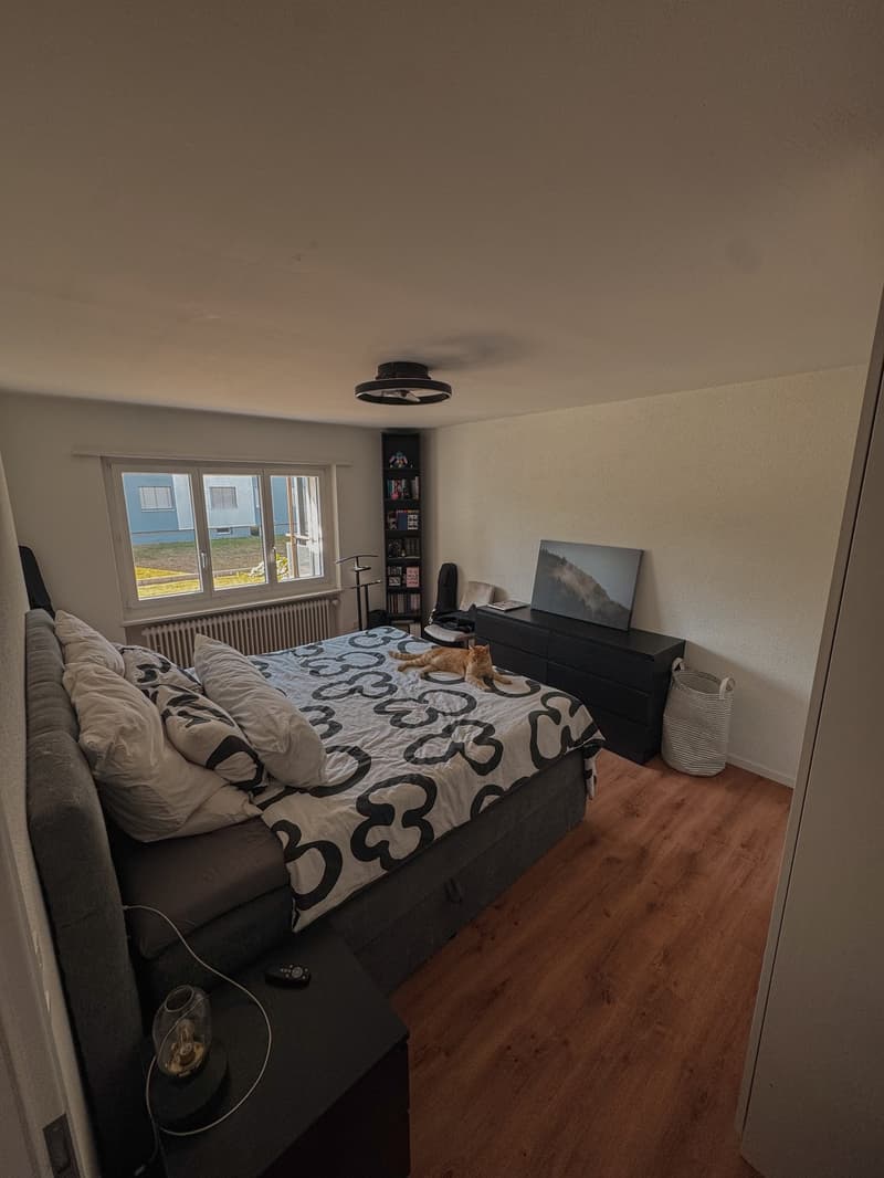 Moderne, lichtdurchflutete 2.5-Zimmer-Wohnung mit 15m² Balkon ruhig & direkt beim Bahnhof Möhlin (10)