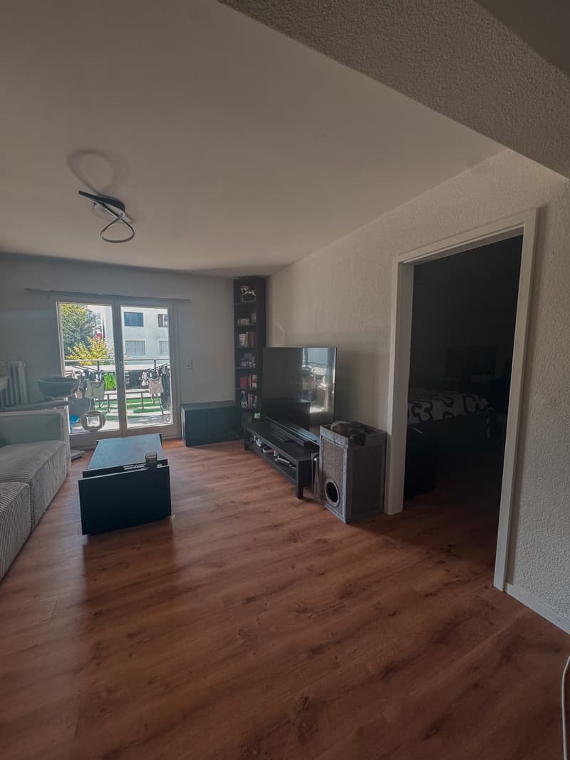 Moderne, lichtdurchflutete 2.5-Zimmer-Wohnung mit 15m² Balkon ruhig & direkt beim Bahnhof Möhlin (1)