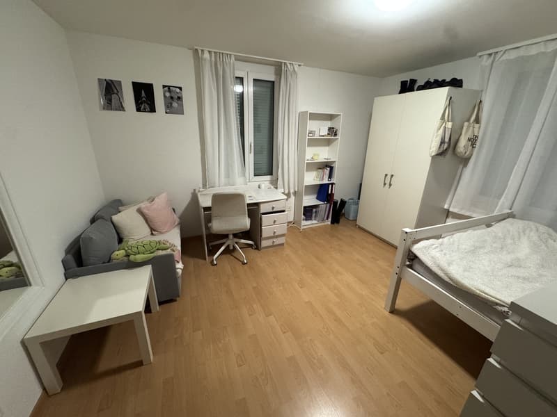 1.5-room apartment in St. Gallen (2)