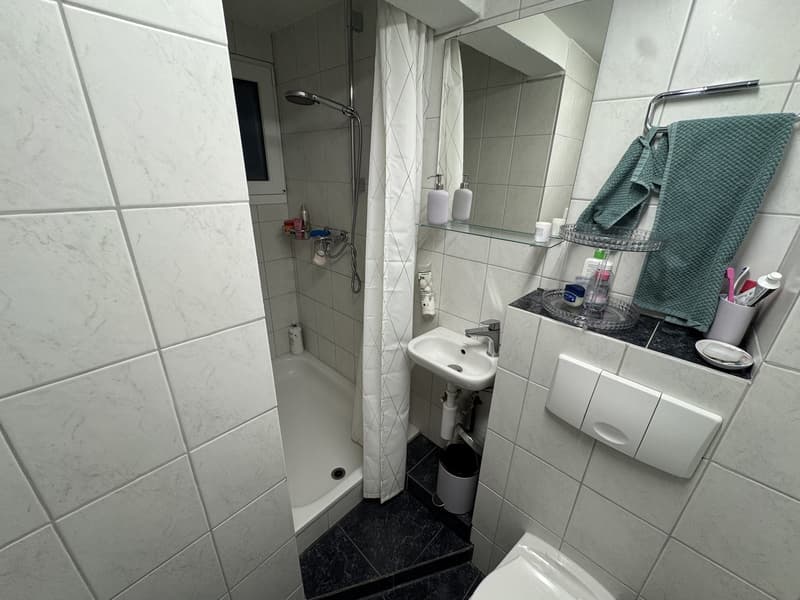1.5-room apartment in St. Gallen (3)