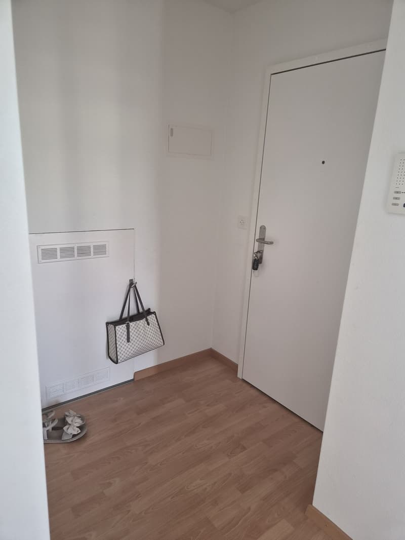 3 ½ Zimmer-Wohnung, 6030 Ebikon (11)