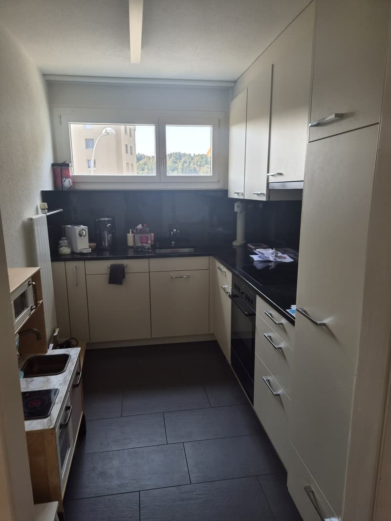 3 ½ Zimmer-Wohnung, 6030 Ebikon (9)