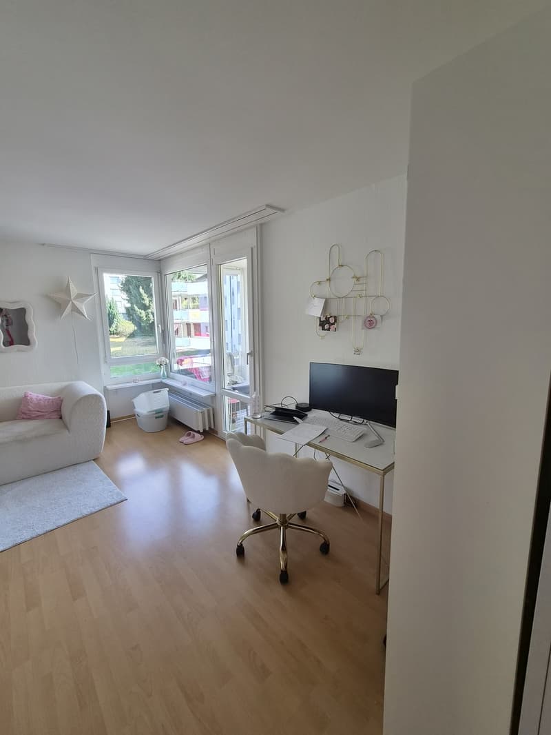 3 ½ Zimmer-Wohnung, 6030 Ebikon (2)