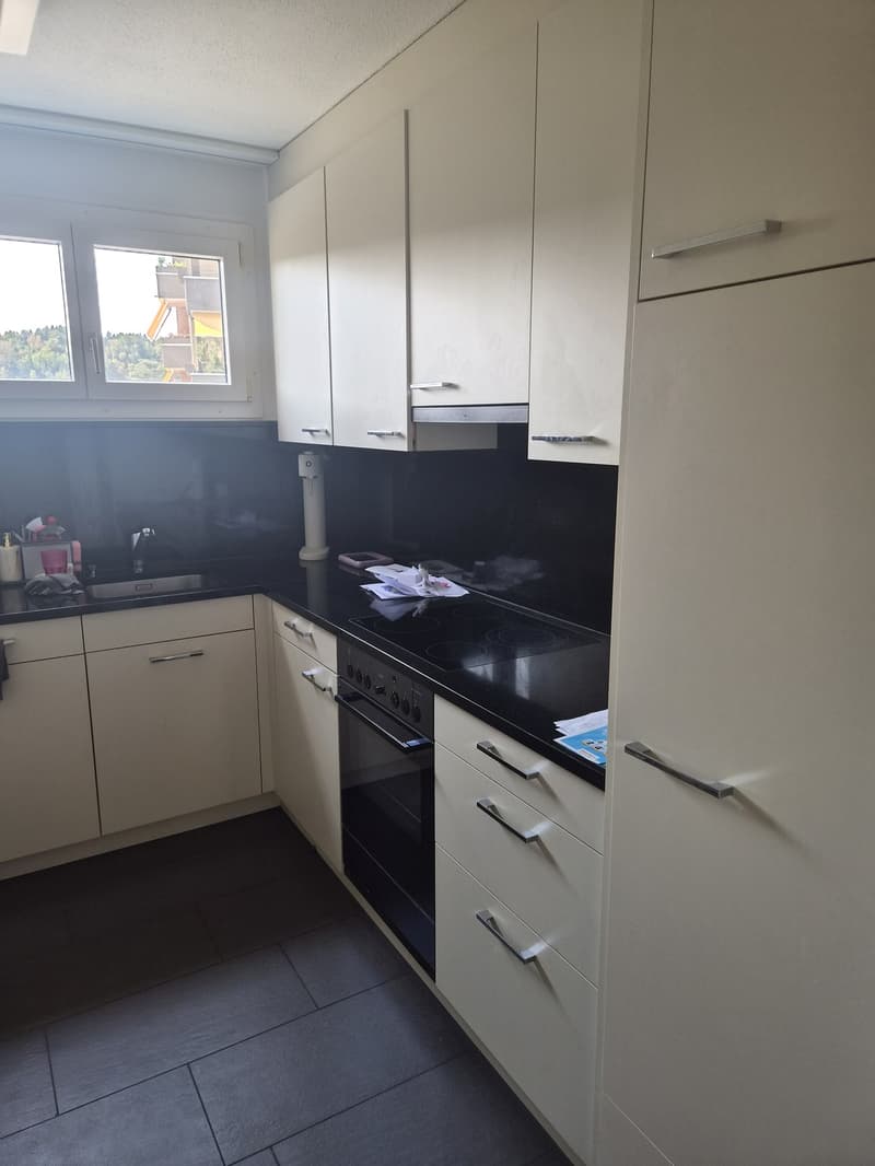 3 ½ Zimmer-Wohnung, 6030 Ebikon (8)