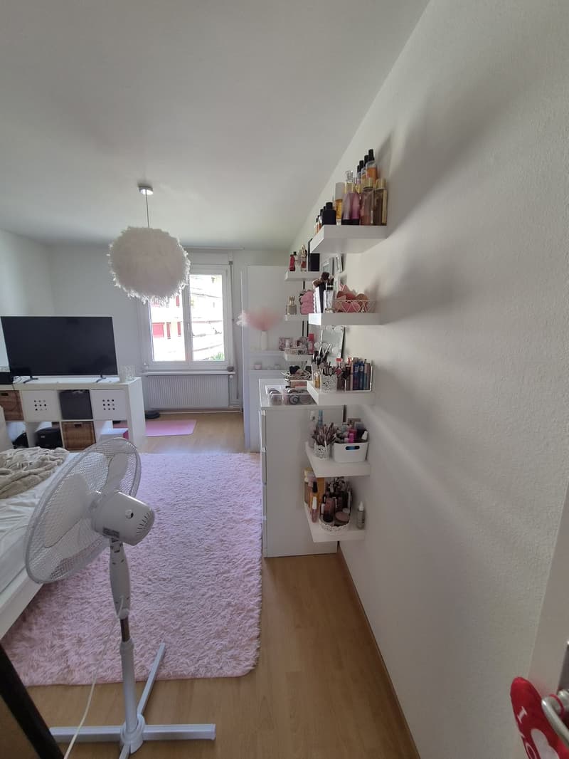 3 ½ Zimmer-Wohnung, 6030 Ebikon (4)