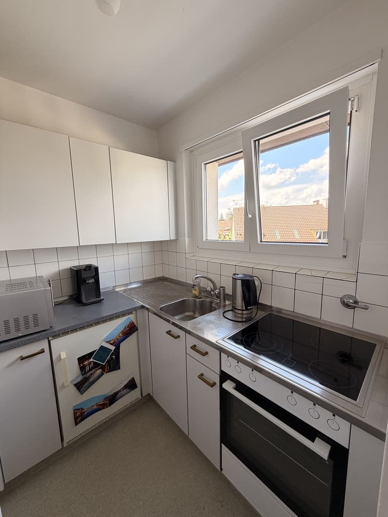 2-Zimmer Attikawohnung mit grossem Balkon (5)