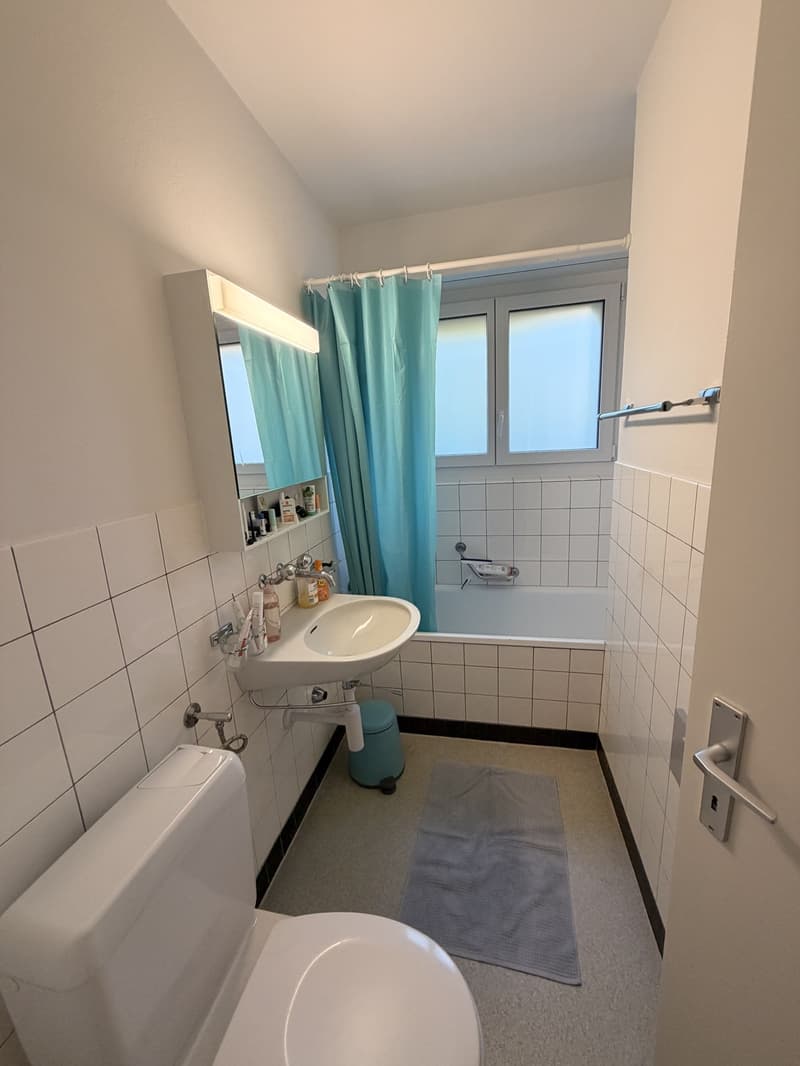 2-Zimmer Attikawohnung mit grossem Balkon (4)