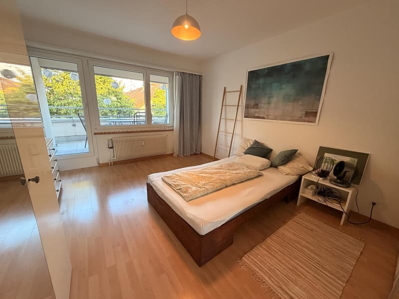 2-Zimmer Attikawohnung mit grossem Balkon (2)