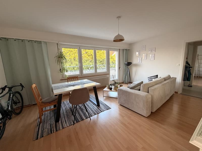 2-Zimmer Attikawohnung mit grossem Balkon (1)