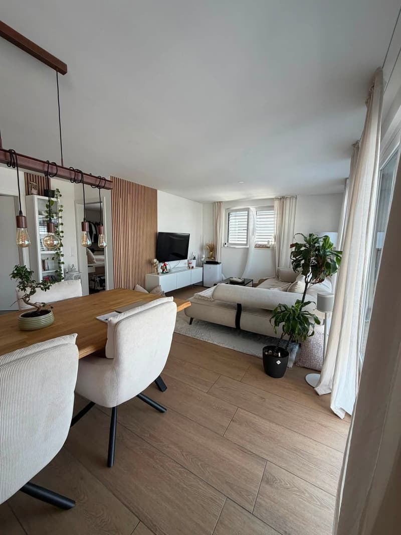 Nachmieter gesucht Moderne 3.5-Zimmer-Attikawohnung mit 46 m² Terrasse Niederwil AG ab 01.11.2026 (4)