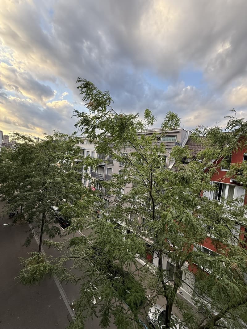 Bright Flat in heart of Zurich (7)
