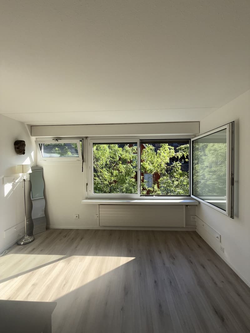 Bright Flat in heart of Zurich (5)