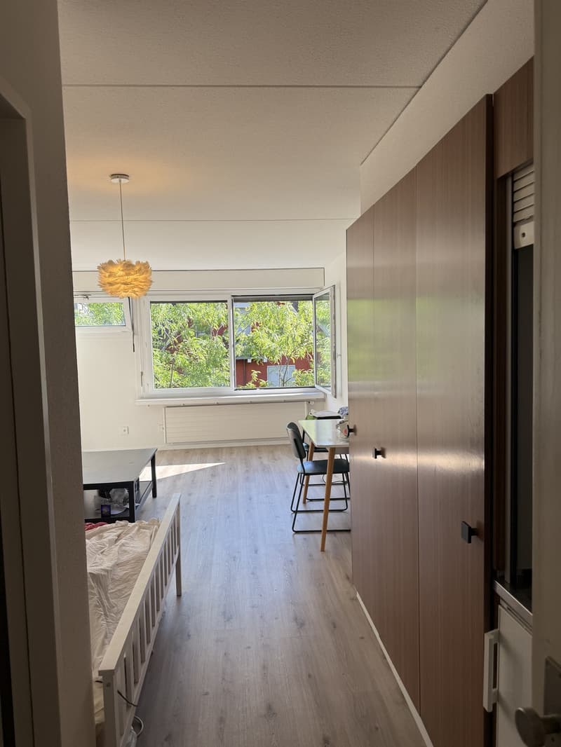 Bright Flat in heart of Zurich (2)