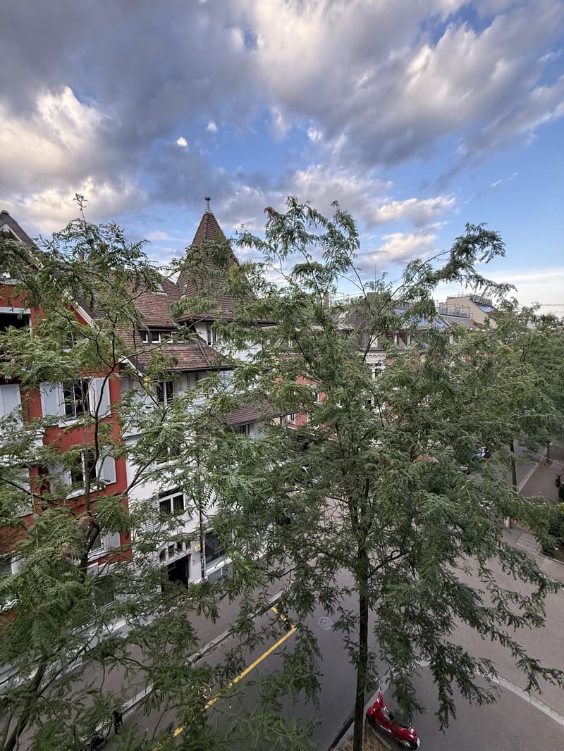 Bright Flat in heart of Zurich (6)