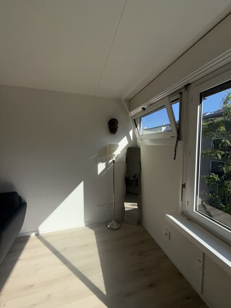 Bright Flat in heart of Zurich (4)