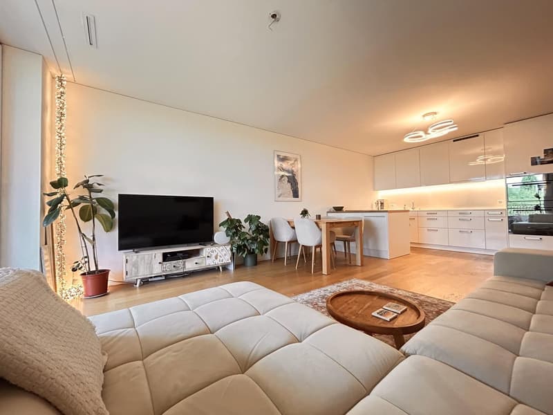 Modern apartment in Greencity (2)