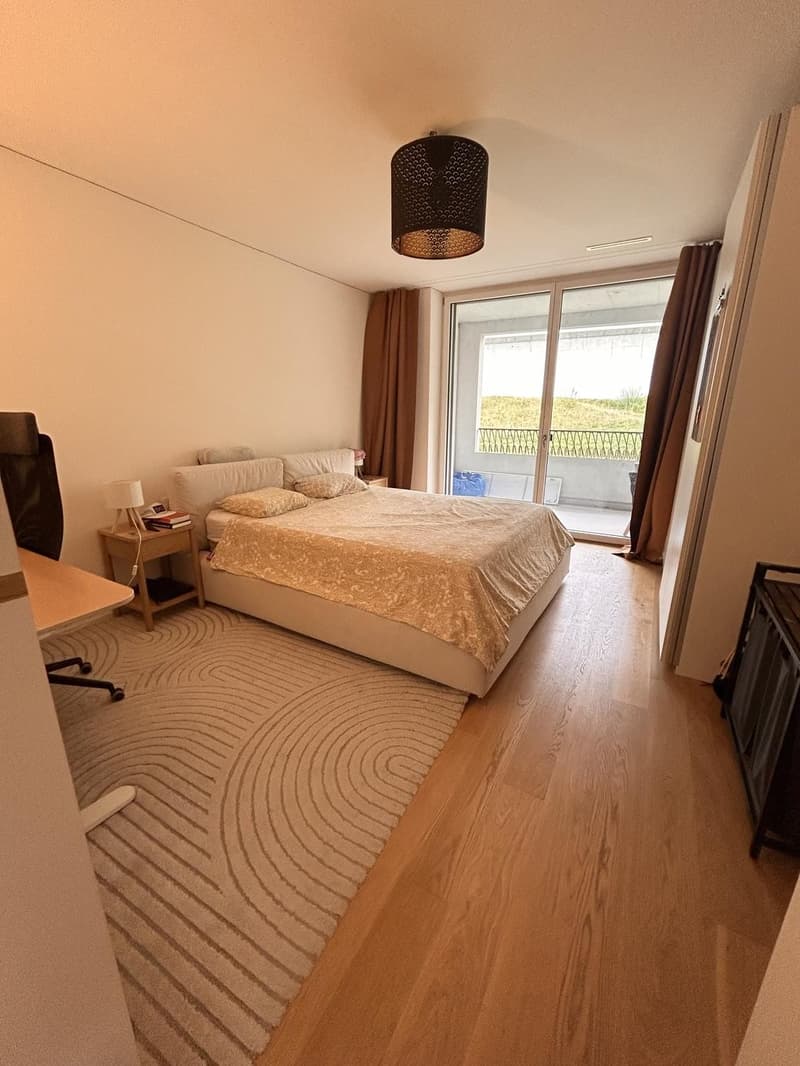 Modern apartment in Greencity (4)