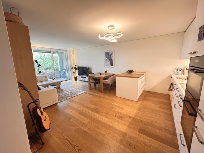 Modern apartment in Greencity (3)