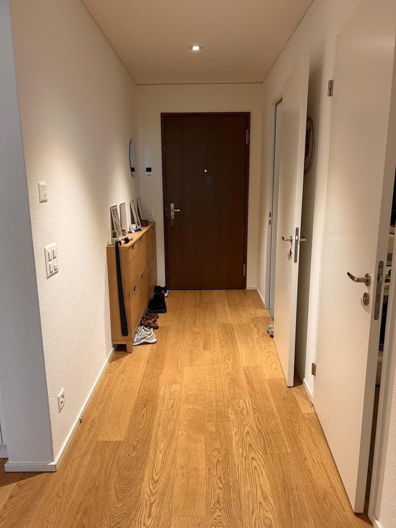 Modern apartment in Greencity (9)