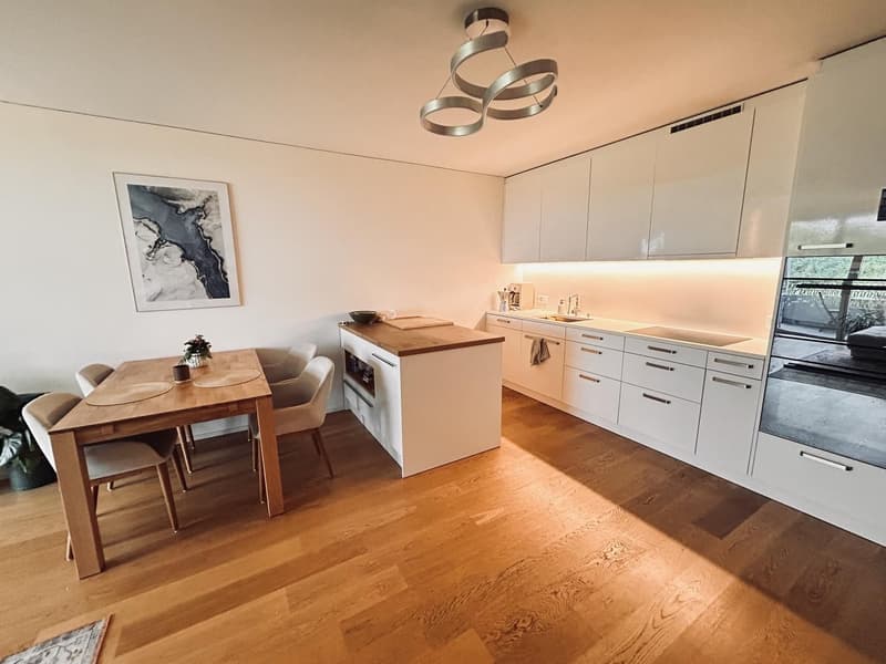 Modern apartment in Greencity (7)