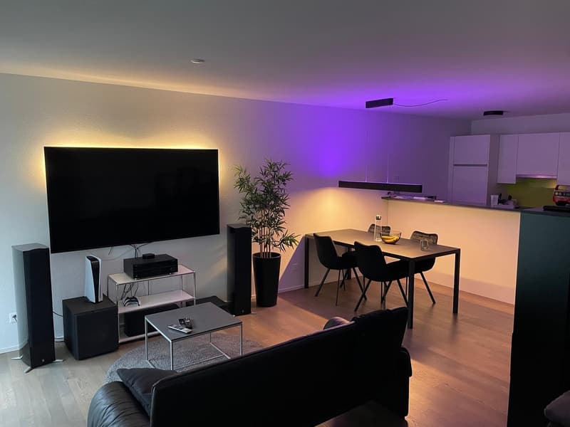 Grosszügige 1.5-Zimmer-Wohnung mit grossem Balkon in Lenzburg (1)