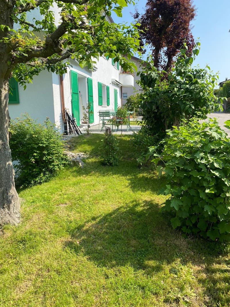 Schön sanierte 3.5 Zimmerwohnung im Grünen (13)
