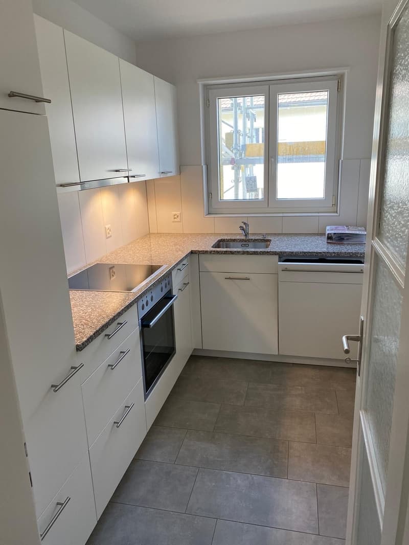 Schön sanierte 3.5 Zimmerwohnung im Grünen (1)