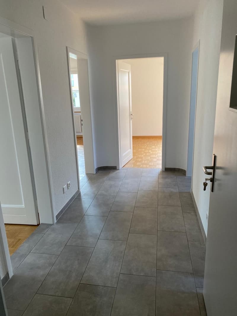Schön sanierte 3.5 Zimmerwohnung im Grünen (9)