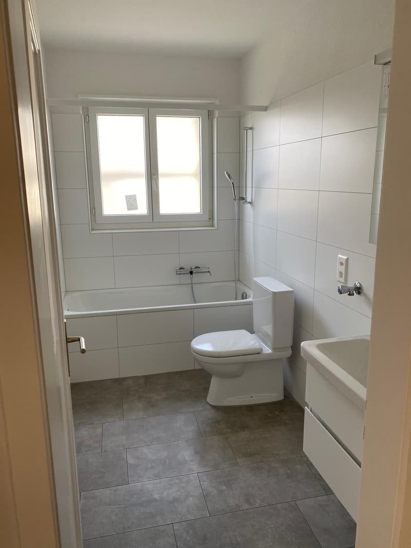 Schön sanierte 3.5 Zimmerwohnung im Grünen (5)