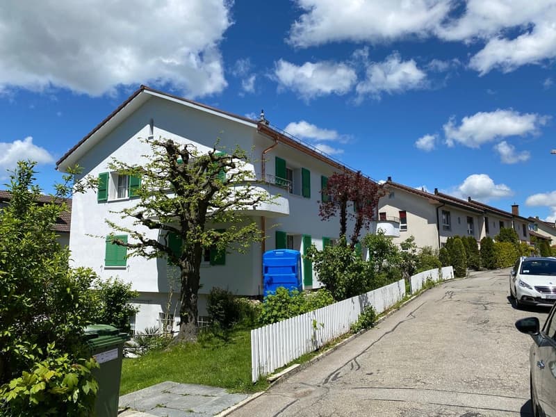 Schön sanierte 3.5 Zimmerwohnung im Grünen (2)